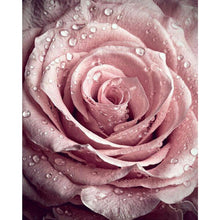 Load image into Gallery viewer, Rose With Raindrops DIY Diamond Painting