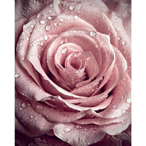 Rose With Raindrops DIY Diamond Painting