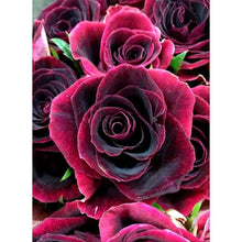 Load image into Gallery viewer, Scarlet Roses DIY Diamond Painting