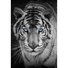 Load image into Gallery viewer, Tiger With Blue Eyes DIY Diamond Painting