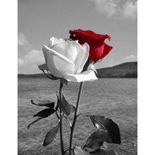 Load image into Gallery viewer, White And Red Roses In The Field DIY Diamond Painting