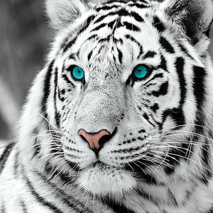 White Tiger DIY Diamond Painting